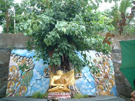 �o���W���[���E�e�K�m�@