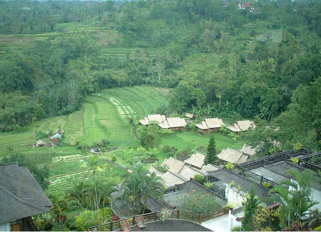 ��ؔ��ƃR�e�[�W