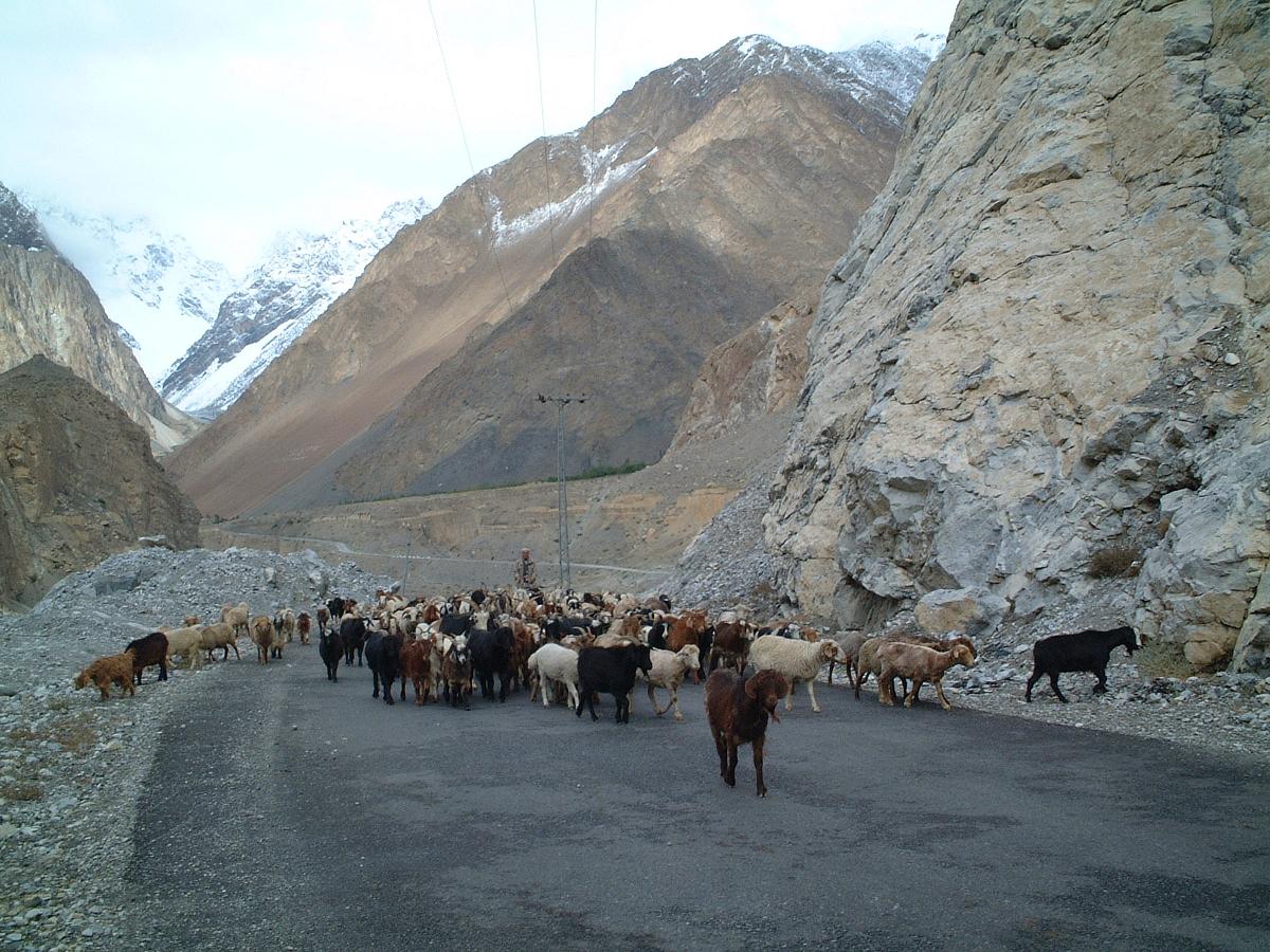 �J���R�����n�C�E�F�[