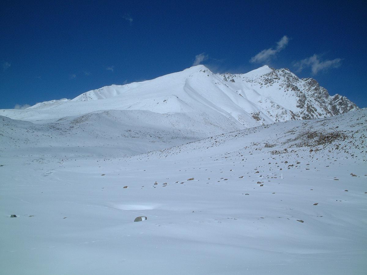 �t���W�����u���P