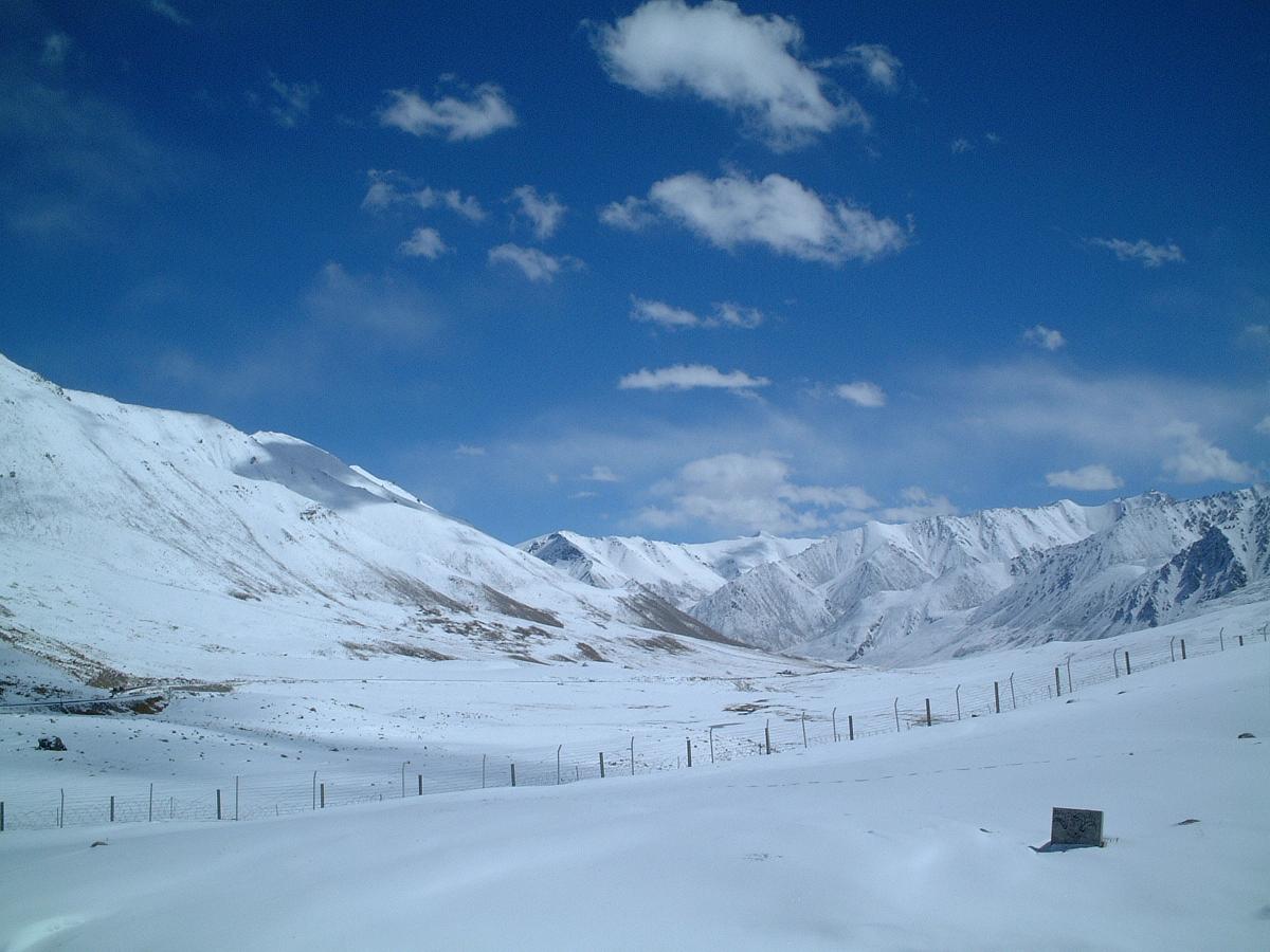 �t���W�����u���Q