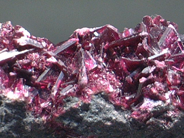 Erythrine エリスリン