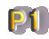 P1
