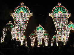 �m�Ԑ�̗���