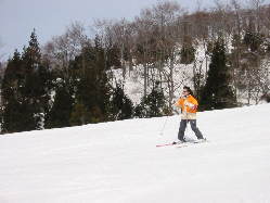 �s�A�m�e�������ʐl