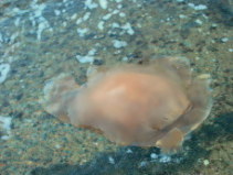 ����ُ�N���Q