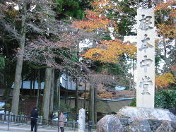 ���{����