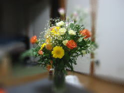 �����Q���������I