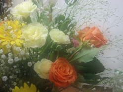 �\�t�g�t�H�[�J�X