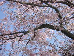 ������p�`�b