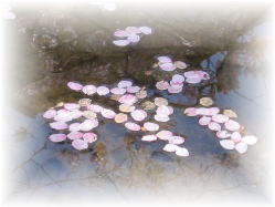 ��ʂɂȂ���