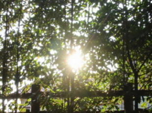 �|��ԗ��Ă�����