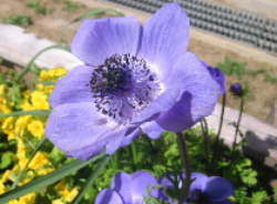 ����H�܂ˁH