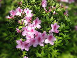 �c�c�W������