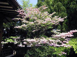 �Ō�̃f�[�g�Ԑ���