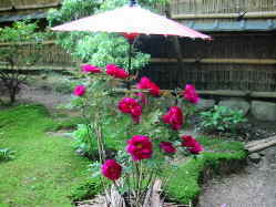 ���O���U