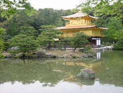 �G�t���݂�������