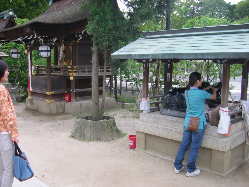 ���̓��ȂłĂ������͂Ȃ����