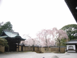 �͎R���ɗ����Ԃт�