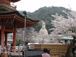 �ʂځ[���Ƃ����Ă���