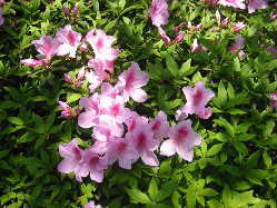 ���̖��z�������Ƃ��邾��B�܂������Ȃ��I