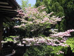 �Ԑ��؂̒ʂ�̏I���`��