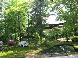 �܌�����̒뉀�ƃA�W�T�C