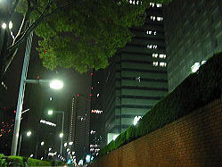 �V�h�̍��w�r��