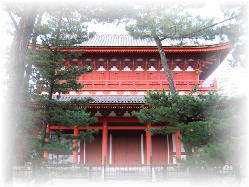 ���̂���