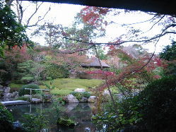 �����ƒ뉀