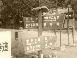 ����ē��}