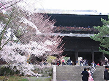 �����o���h��