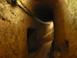 �ߚ{�Ō@������