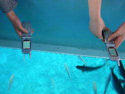 �ŋ߂̃J����