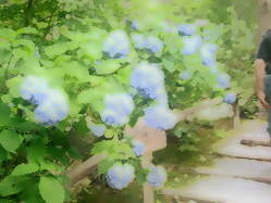 �܂�Ńy�C���g�V���b�v�c�ł������̃m�C�Y�J�b�g�c�B