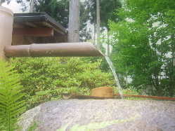 ���q�����́A�C�m�V�V���H