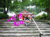 �������ނ�