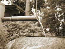 ���q����