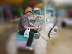 ��������ŏ�蕨�͂ǂ����낤�H