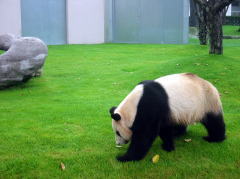 ���Ă��ՁH�������Ȃ��B