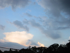 �ԉ��w�ɂ�