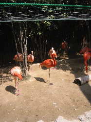 �����ς������H