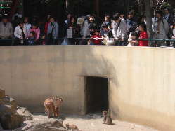 �������߂�T���H