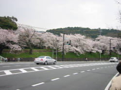 �R�グ���ďR�f�Ɗ֌W����H