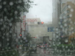 �J�̂�����