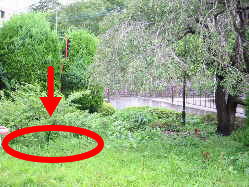 ����͂������H