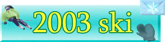 2003�X�L�[