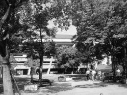 ���}�l���C��