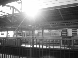 �����n�̏o���̎����āA����ȋC�����Ȃ��H