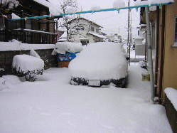 ���܂��������